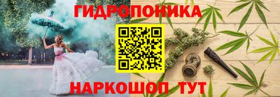 mdpv Лесосибирск